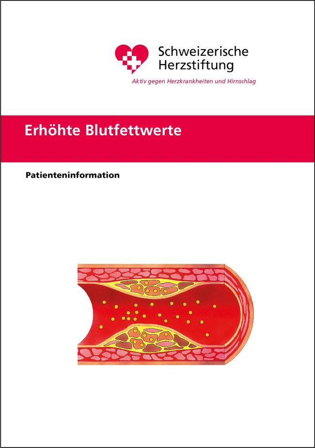 Erhöhte Blutfettwerte