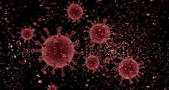 Coronavirus Coronavirus